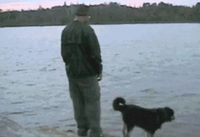 man trying to push a dog into water but falls instead